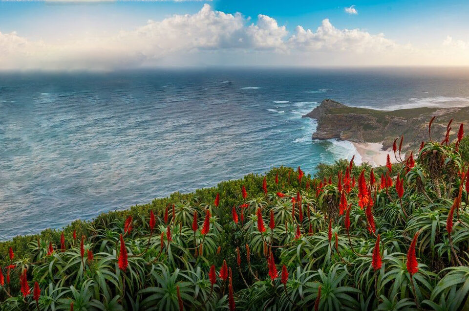 Cape Peninsula Scenic Drive